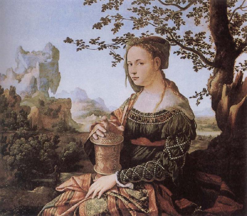 Jan van Scorel Mary Magdalene Spain oil painting art